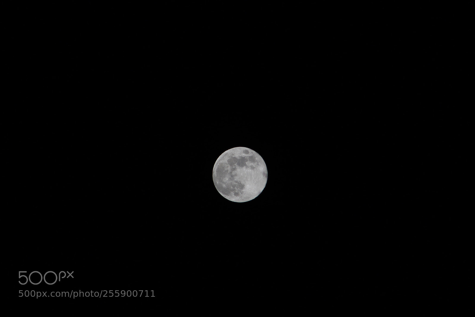 Canon EOS 1300D (EOS Rebel T6 / EOS Kiss X80) sample photo. Moonlight in marquette photography