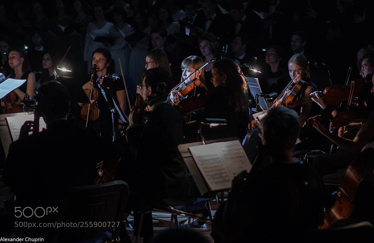 Canon EOS 80D sample photo. Carminaburana (of ) photography