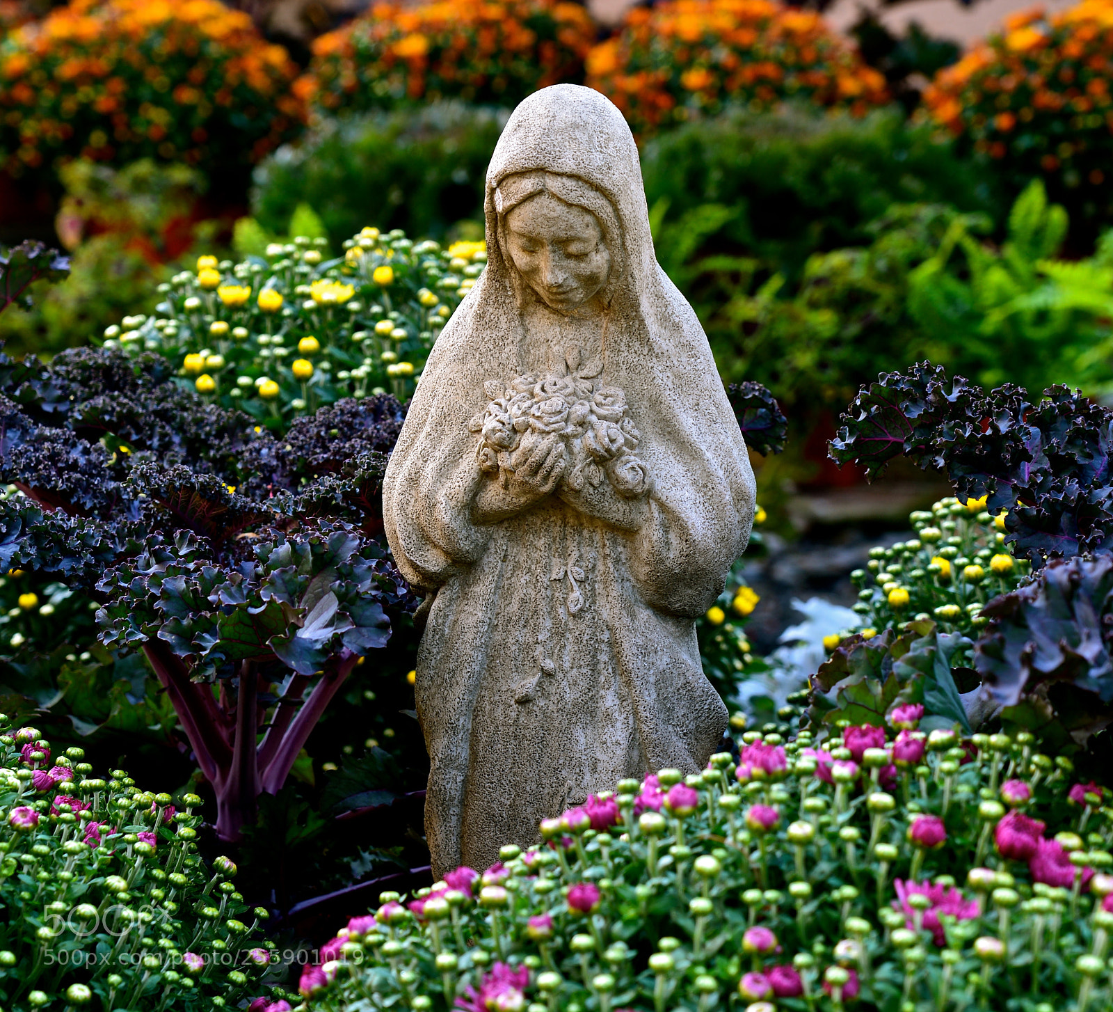 Nikon D600 sample photo. Lady among flowers photography