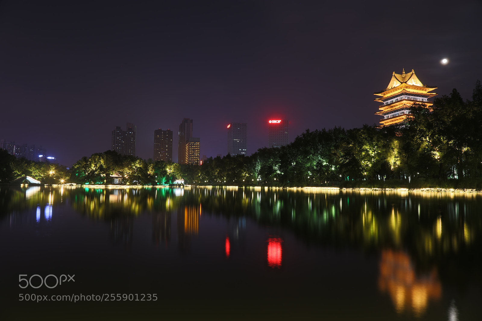 Canon EOS 6D + Canon EF 24-105mm F4L IS USM sample photo. Untitled photography