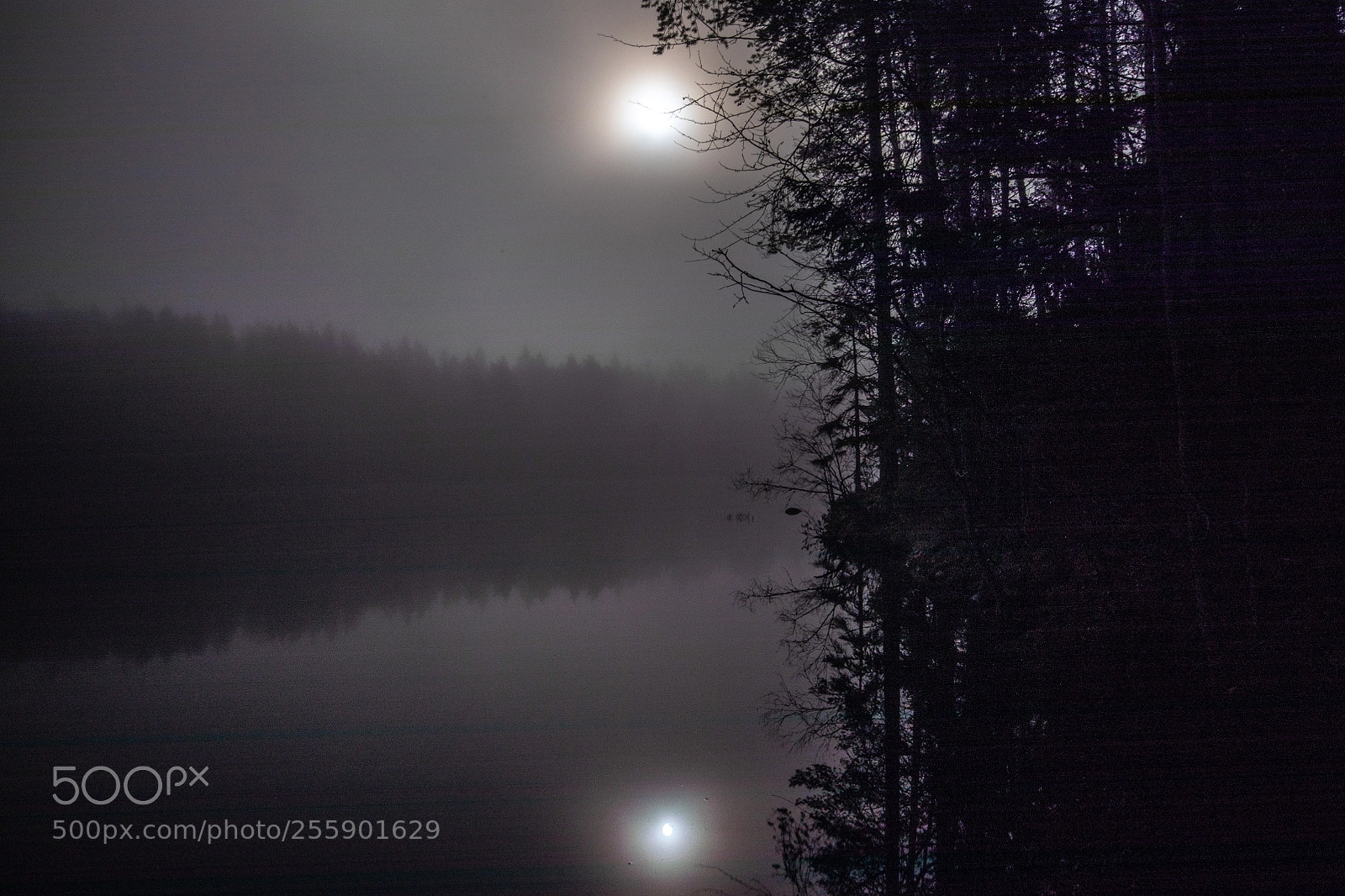 Canon EOS 5D Mark IV sample photo. Early mist photography