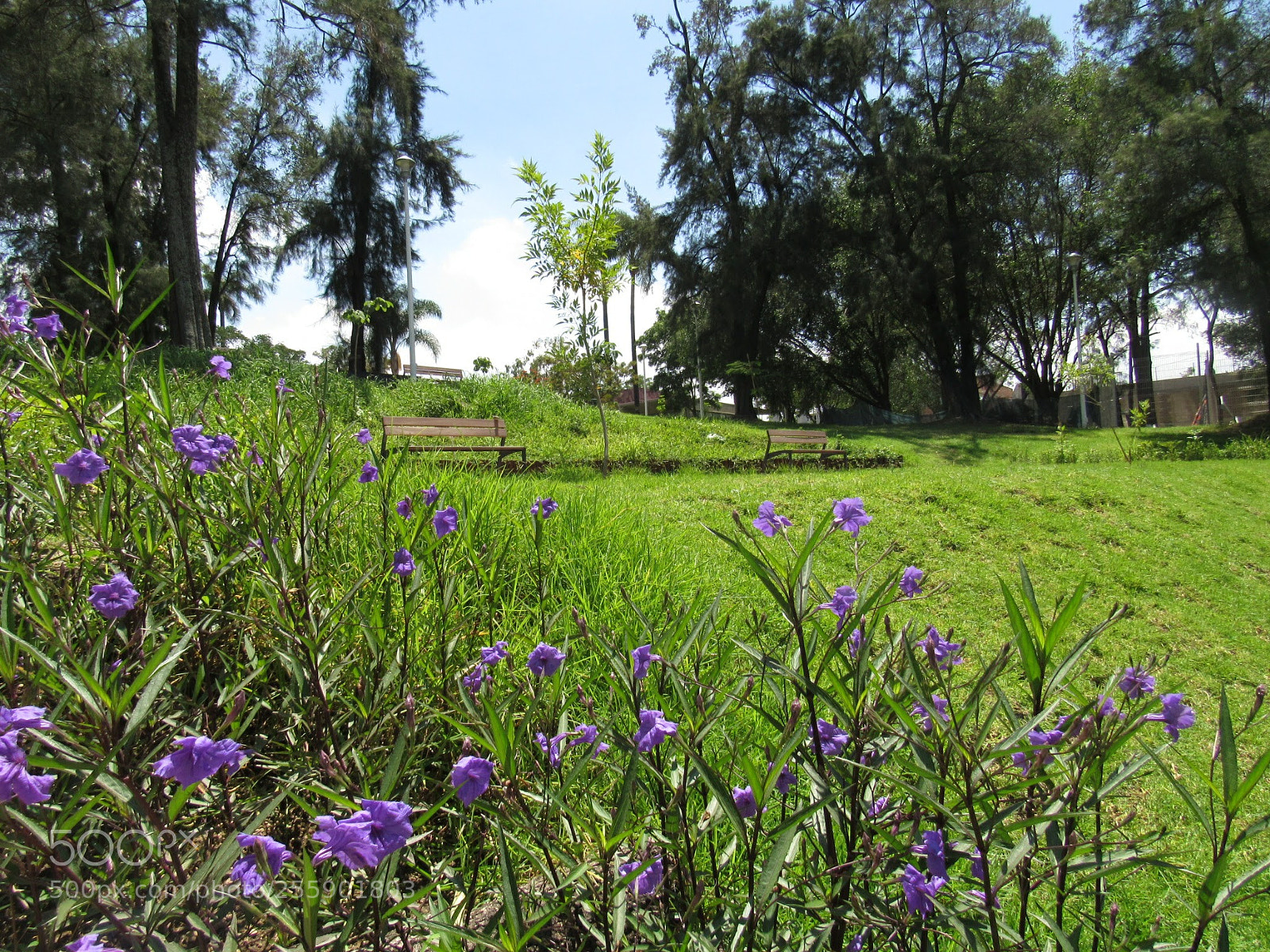 Canon PowerShot SX530 HS sample photo. Tranquilidad photography