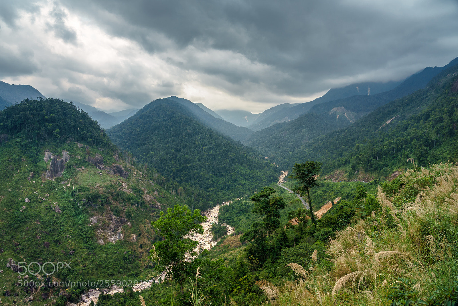 Sony a7 II sample photo. Da lat - vietnam photography
