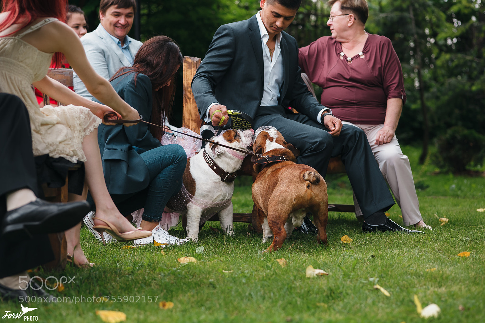 Canon EOS 5D Mark II sample photo. Wedding photography