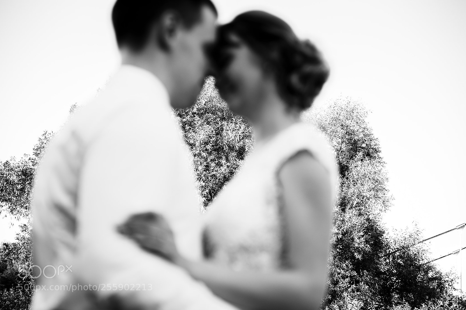 Canon EOS 6D sample photo. Wedding photography