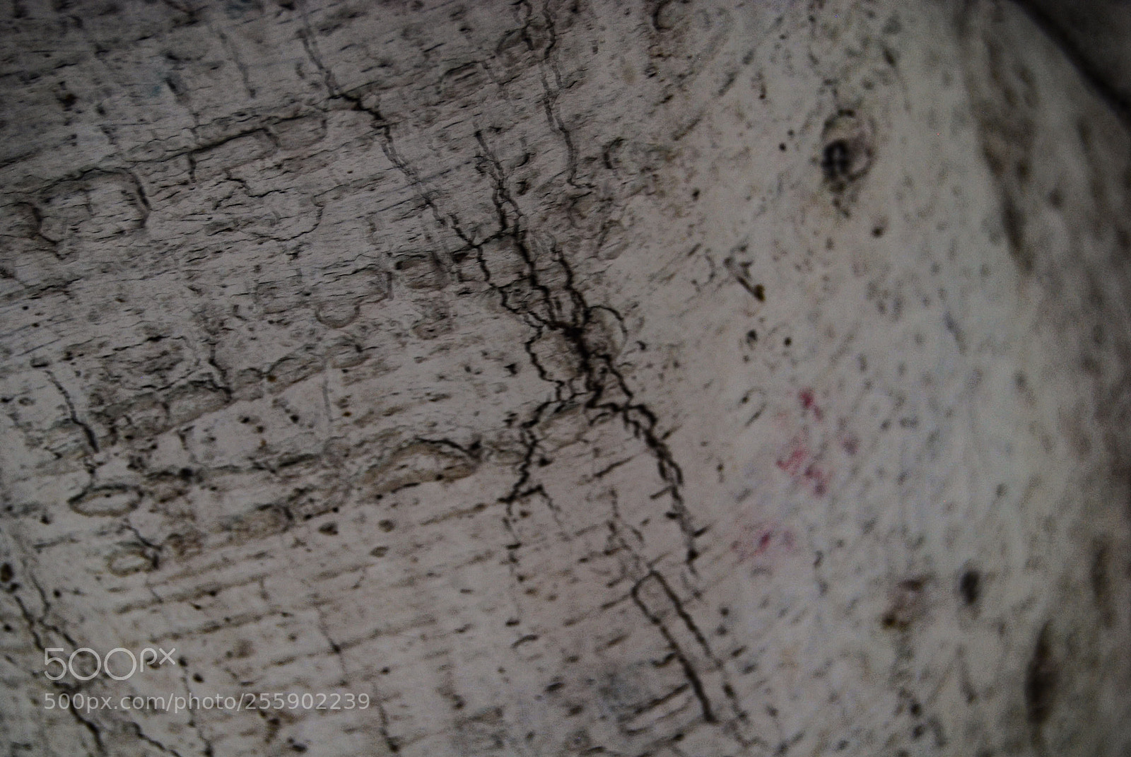 Nikon D40X sample photo. Starry photography
