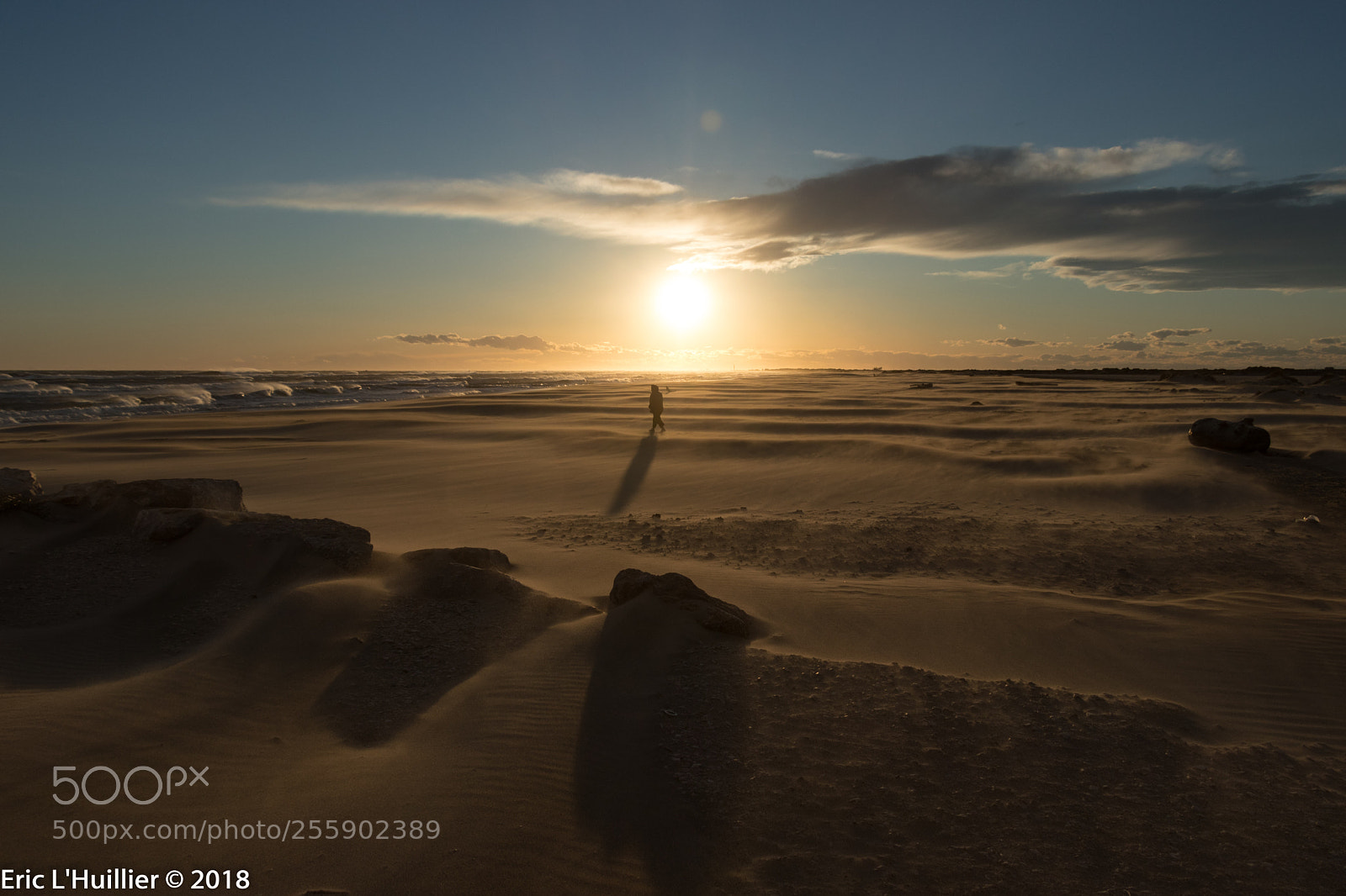 Canon EOS 80D sample photo. Alone in the wind photography