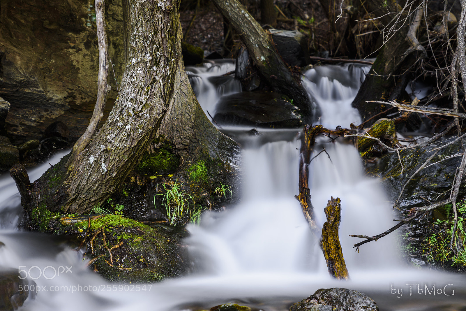 Nikon D7200 sample photo. El fluir del riachuelo photography