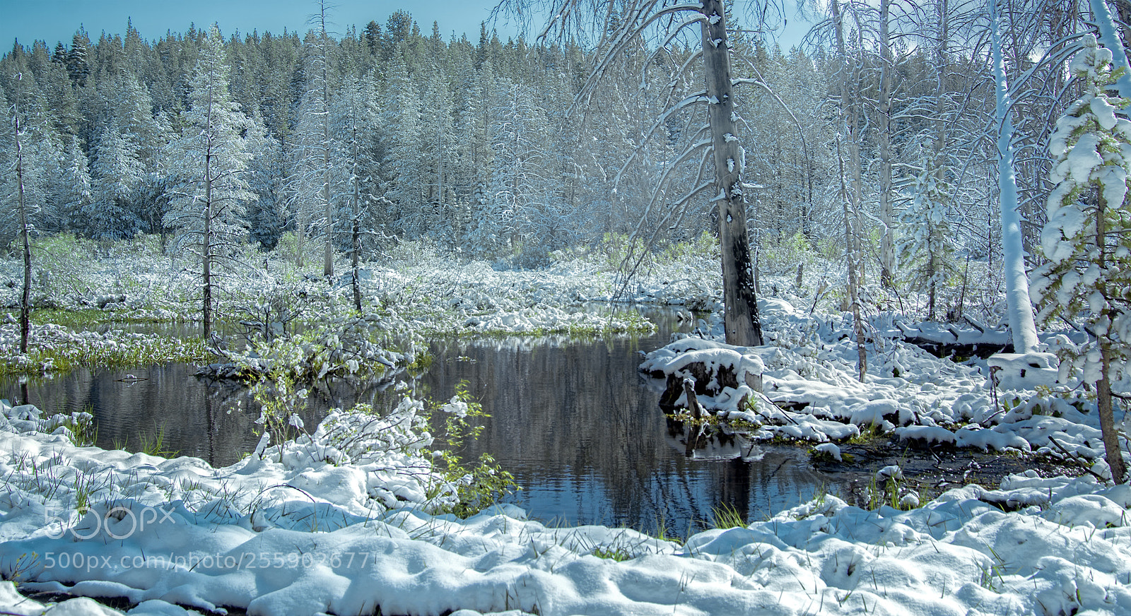 Nikon D7100 sample photo. Snow in the trout photography