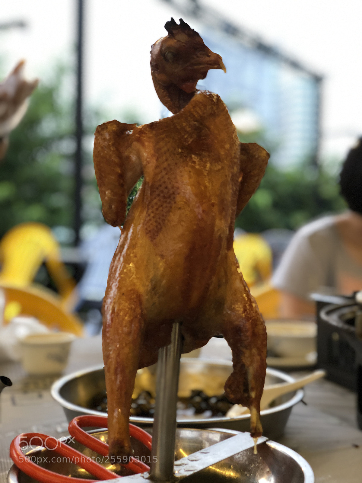 Apple iPhone X sample photo. Untitled photography