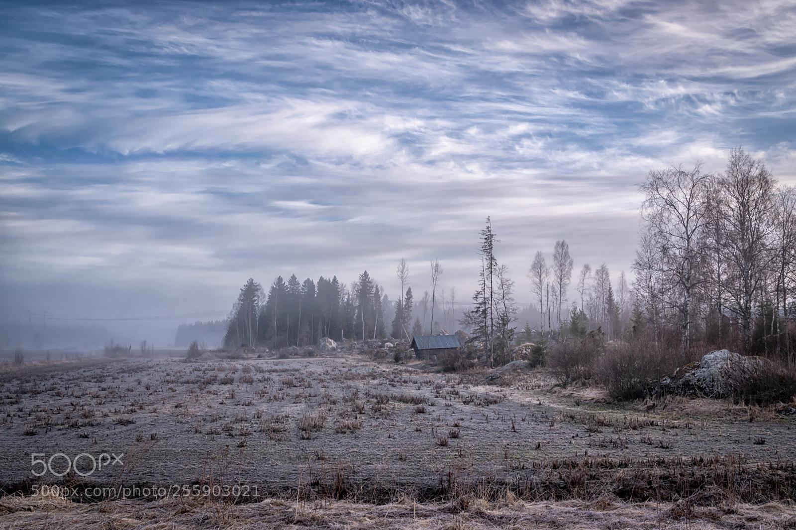 Nikon D5500 sample photo. Morning landscape photography