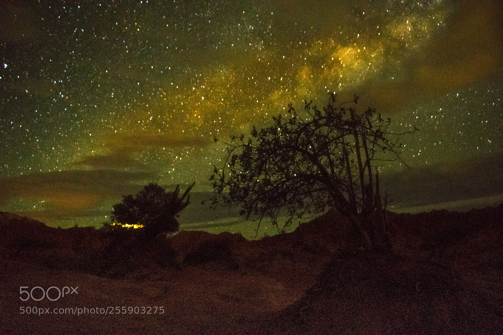 Nikon D3300 sample photo. Noche estrellada photography