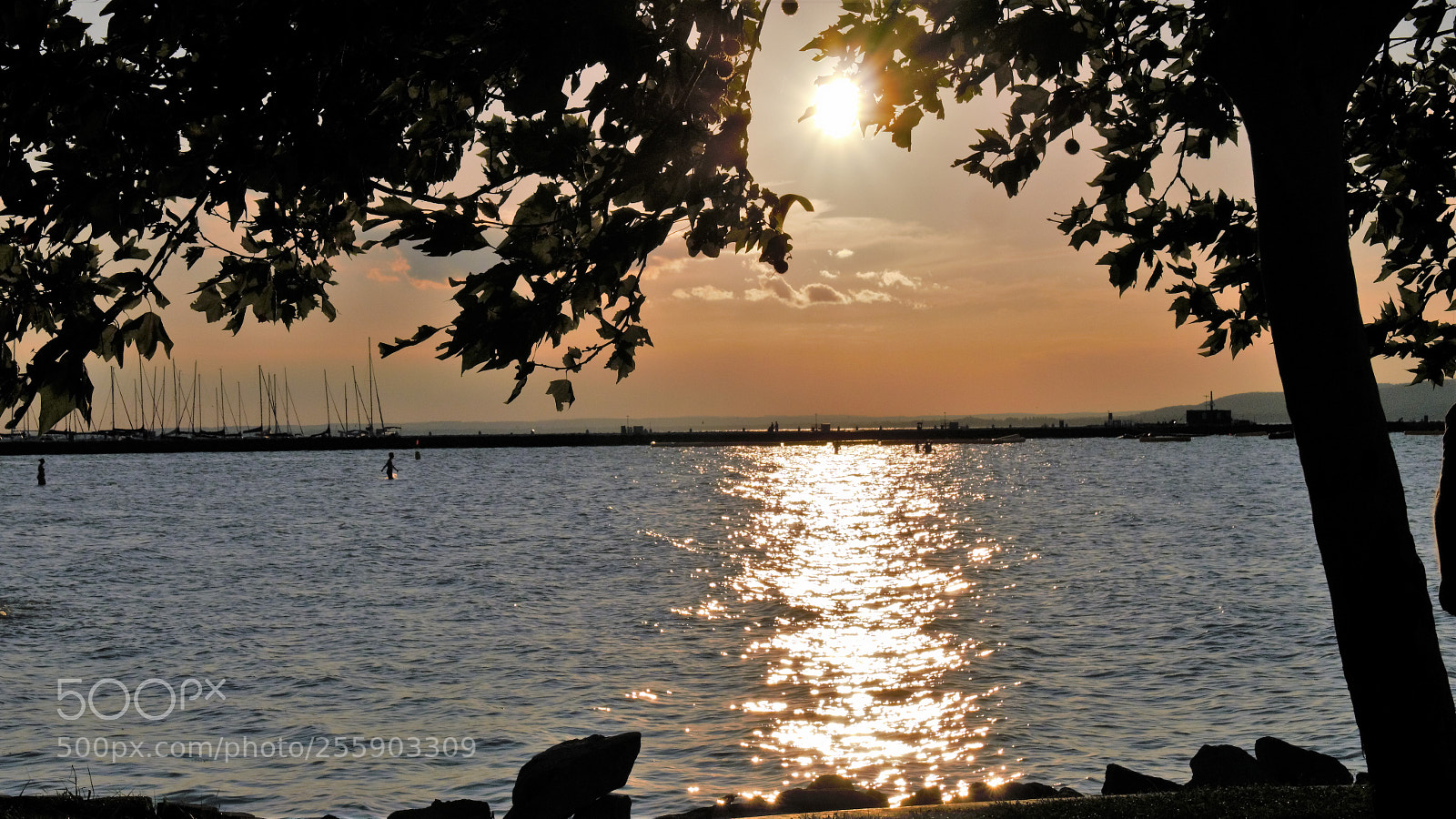 Panasonic Lumix DMC-G6 sample photo. In golden light photography
