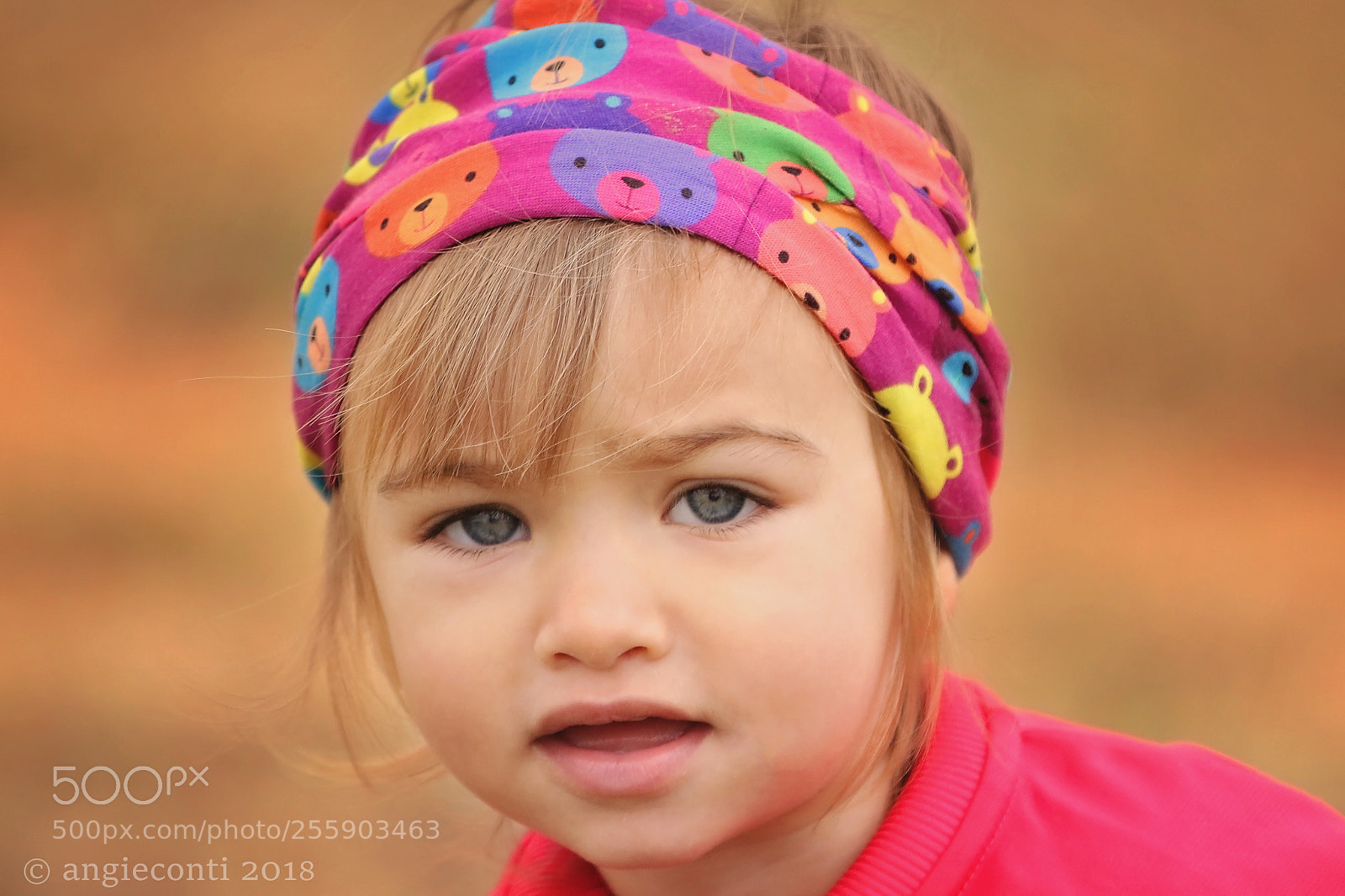 Canon EOS 7D Mark II sample photo. Hey there!! photography