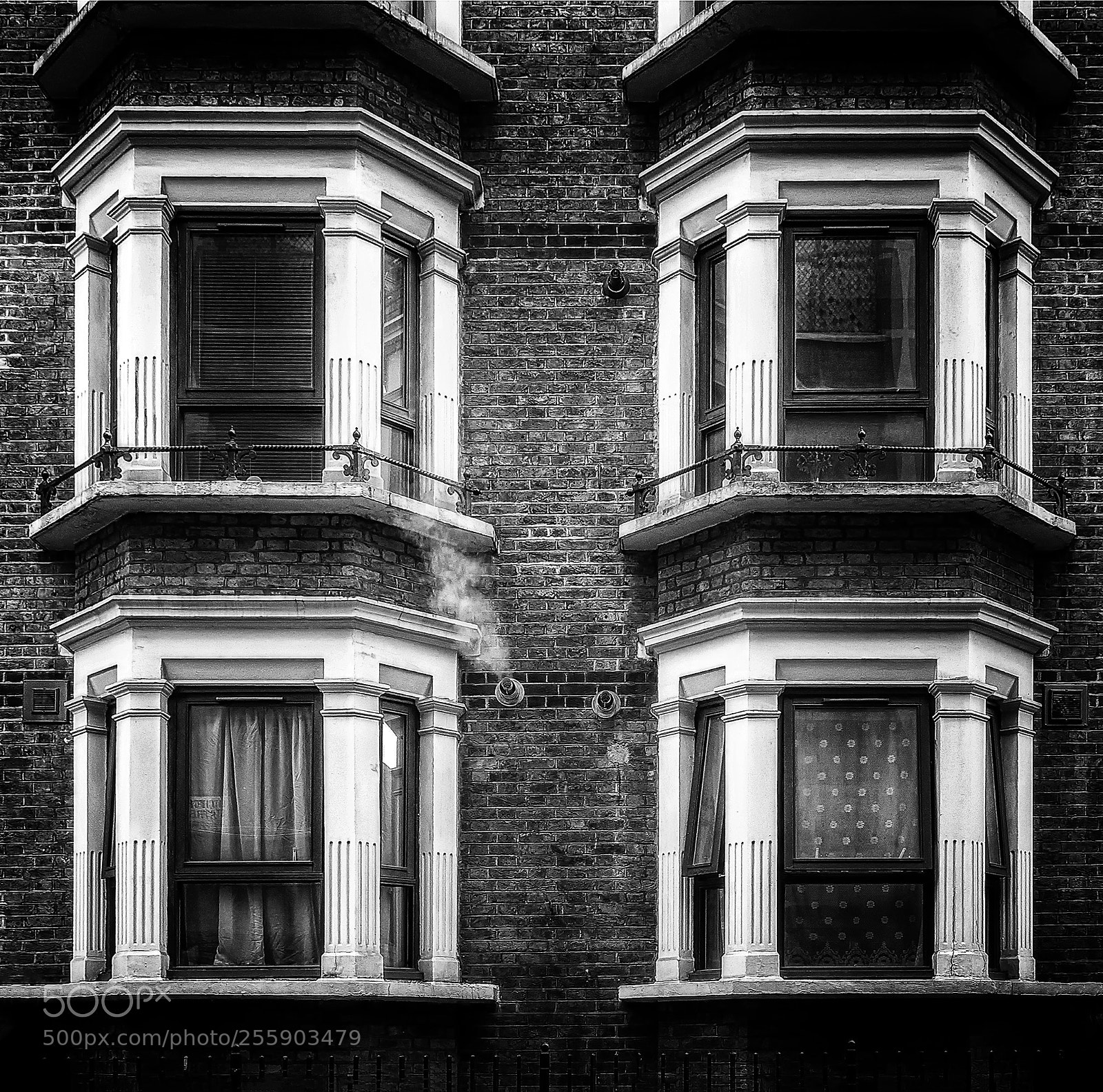 Canon EOS-1D X sample photo. Windows photography