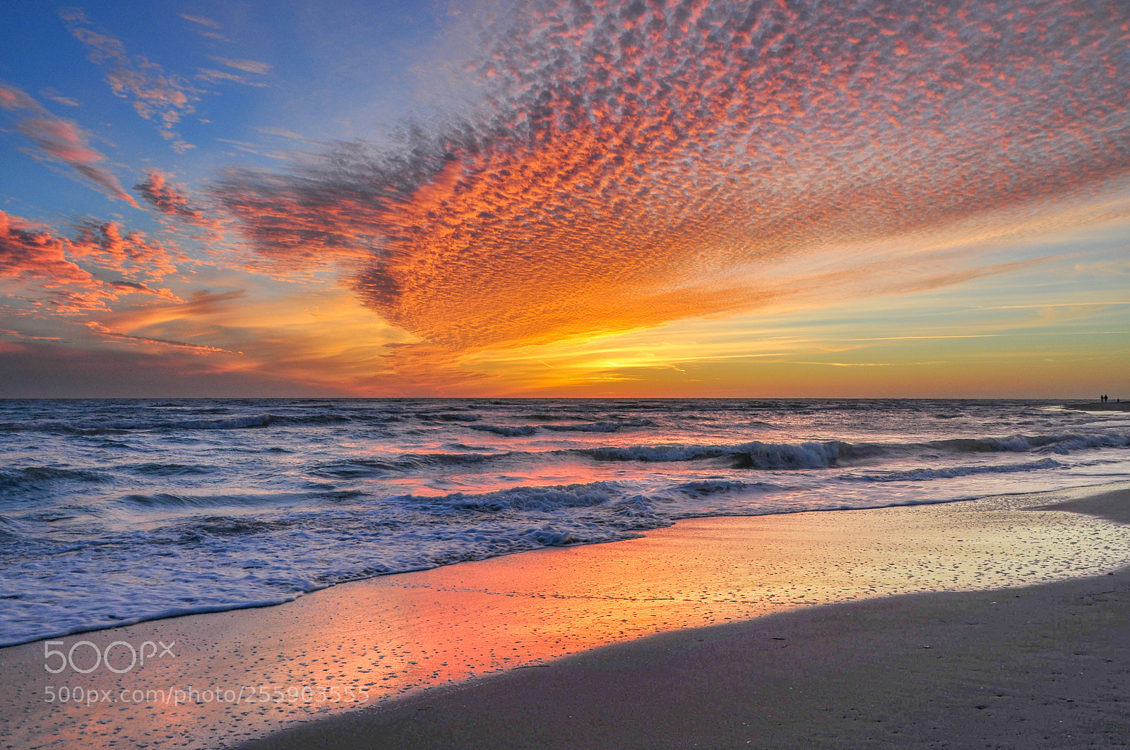 Nikon D90 sample photo. Sunset in florida photography