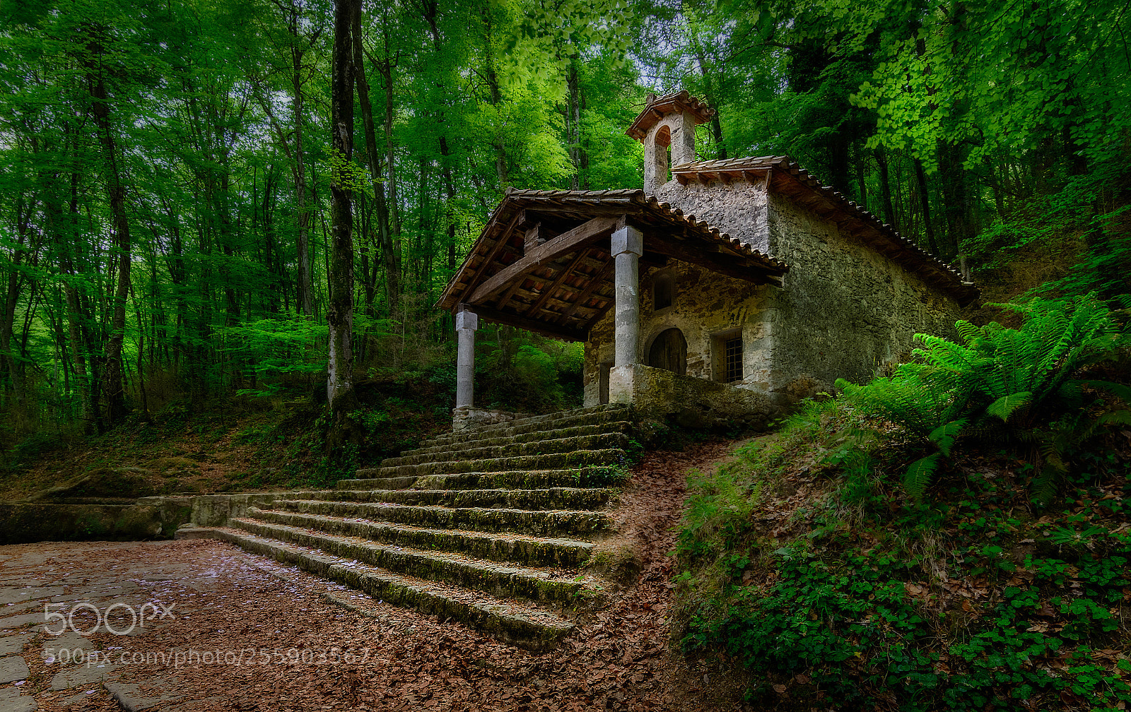 Nikon D7100 sample photo. Hermitage photography
