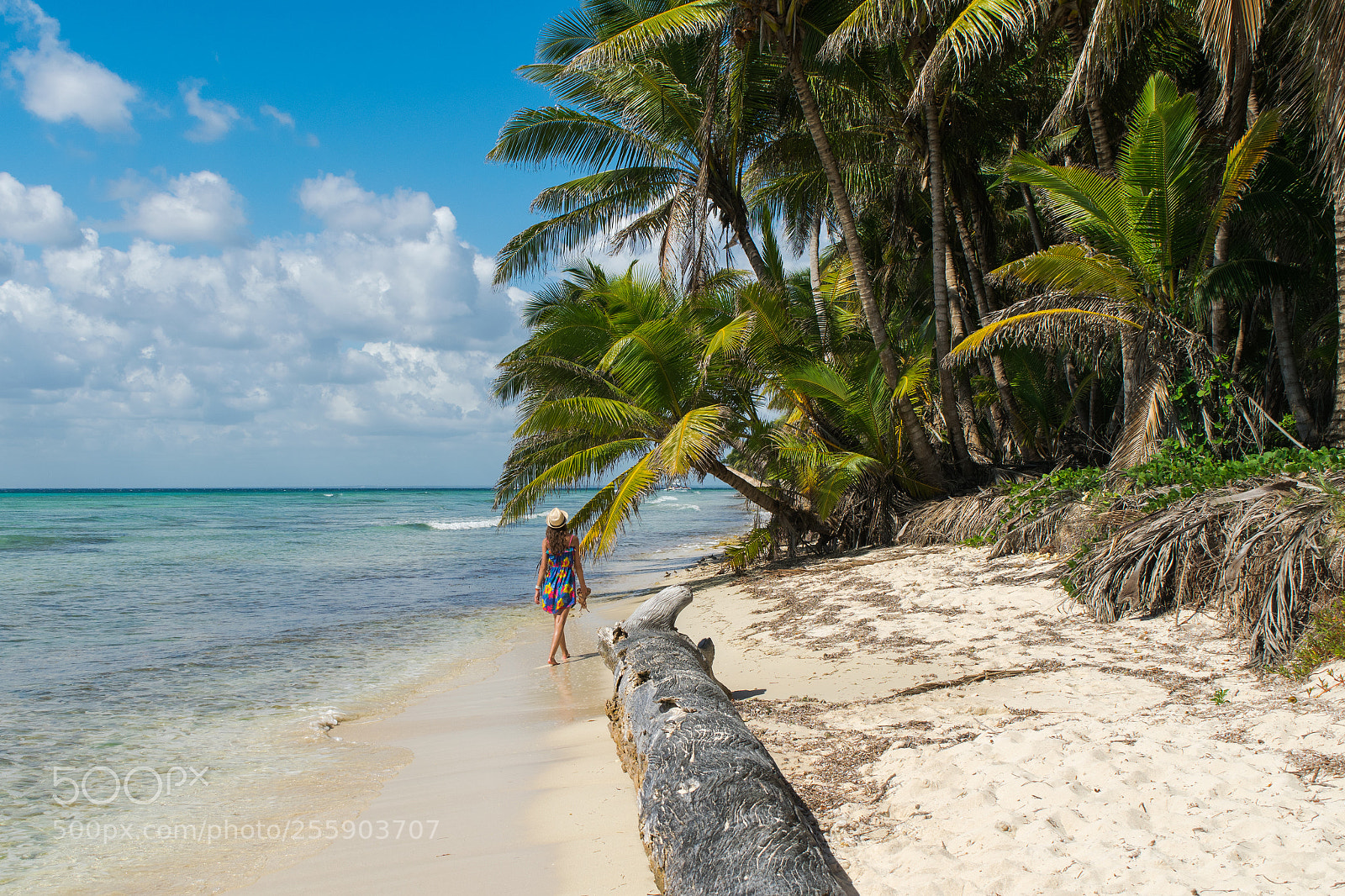 Nikon D5300 sample photo. Saona trip photography