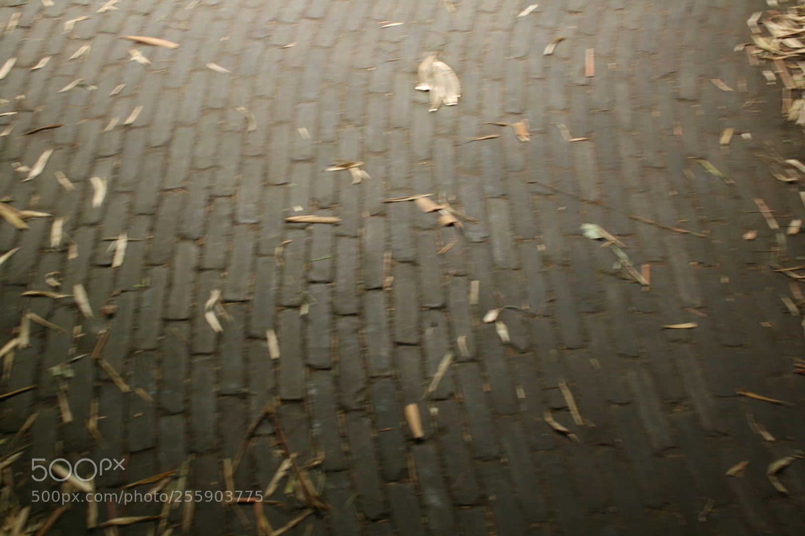 Canon EF-S 18-55mm F3.5-5.6 II sample photo. Tiles photography