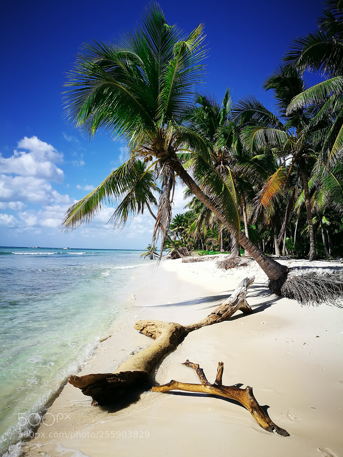 HUAWEI P9 sample photo. Saona island photography