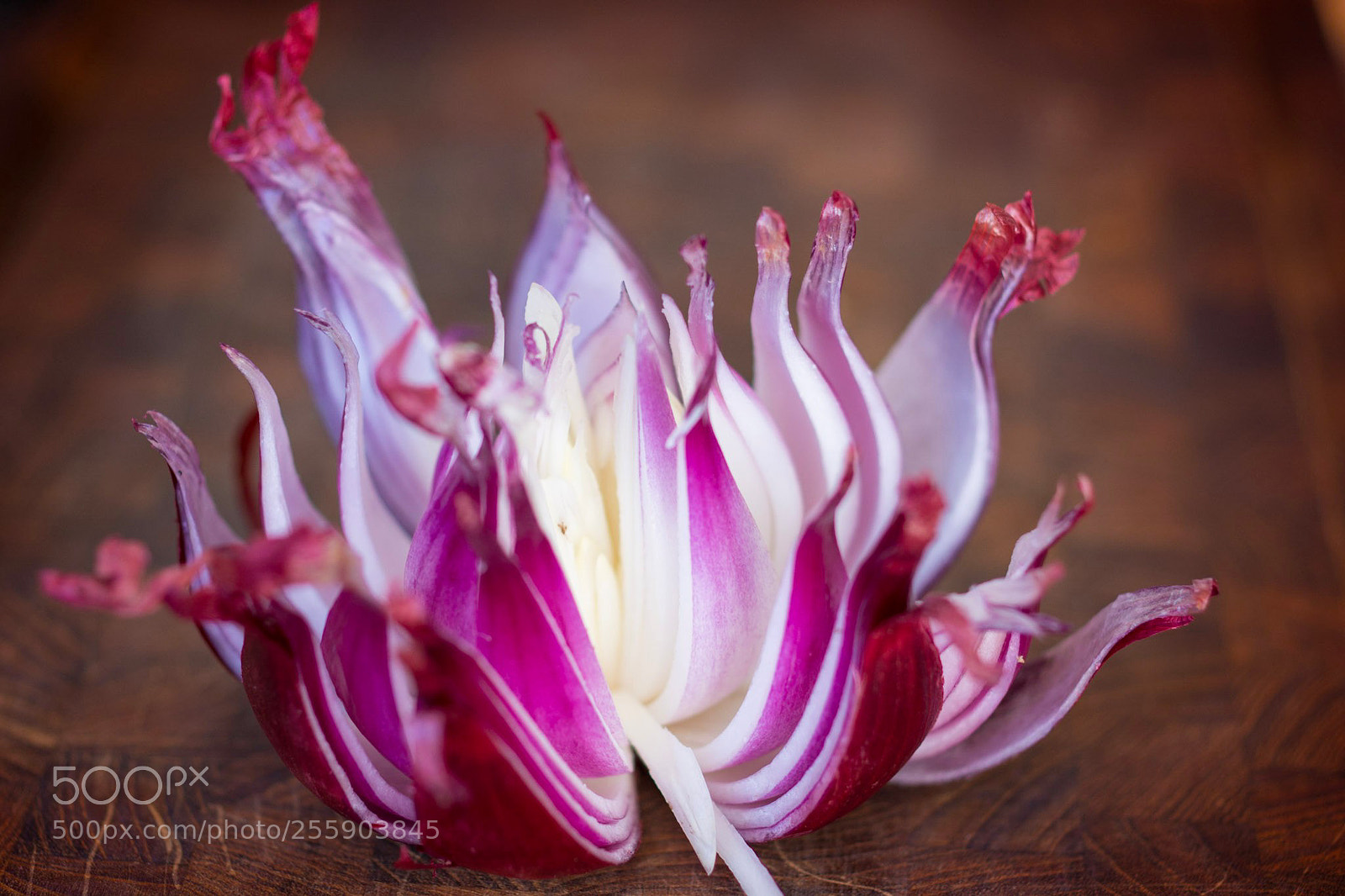 Nikon D7100 sample photo. Onion lotus photography