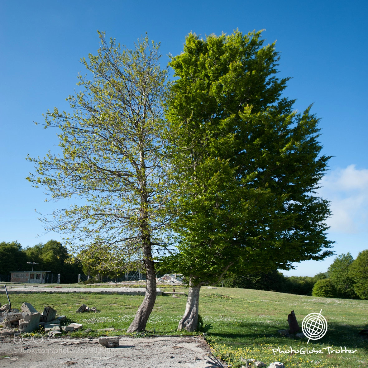 Nikon D700 sample photo. Duality of the wind photography