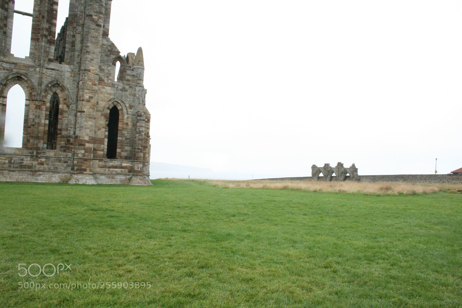 Canon EF-S 18-55mm F3.5-5.6 II sample photo. Whitby abbey photography