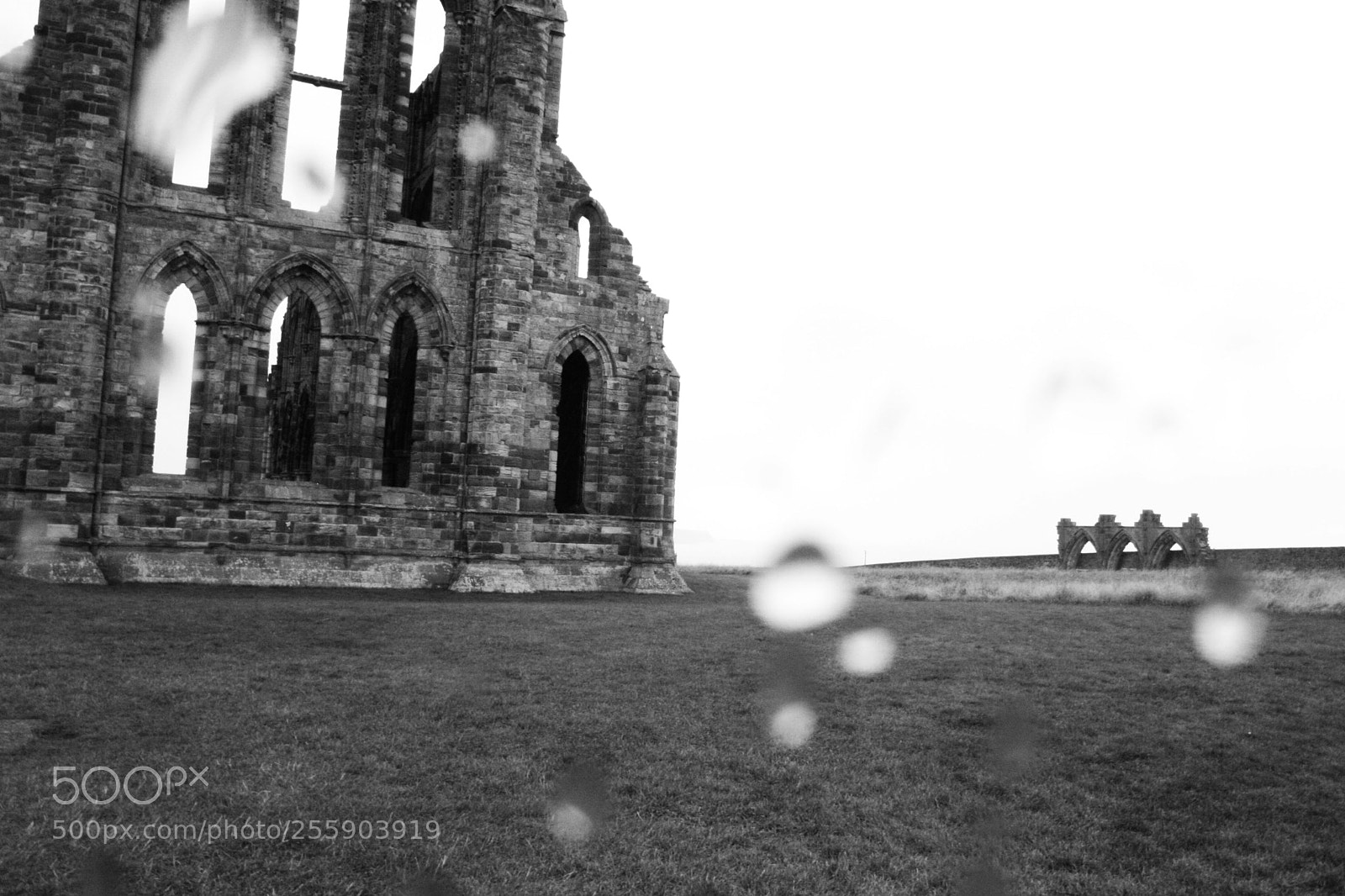Canon EOS 400D (EOS Digital Rebel XTi / EOS Kiss Digital X) sample photo. Whitby abbey photography