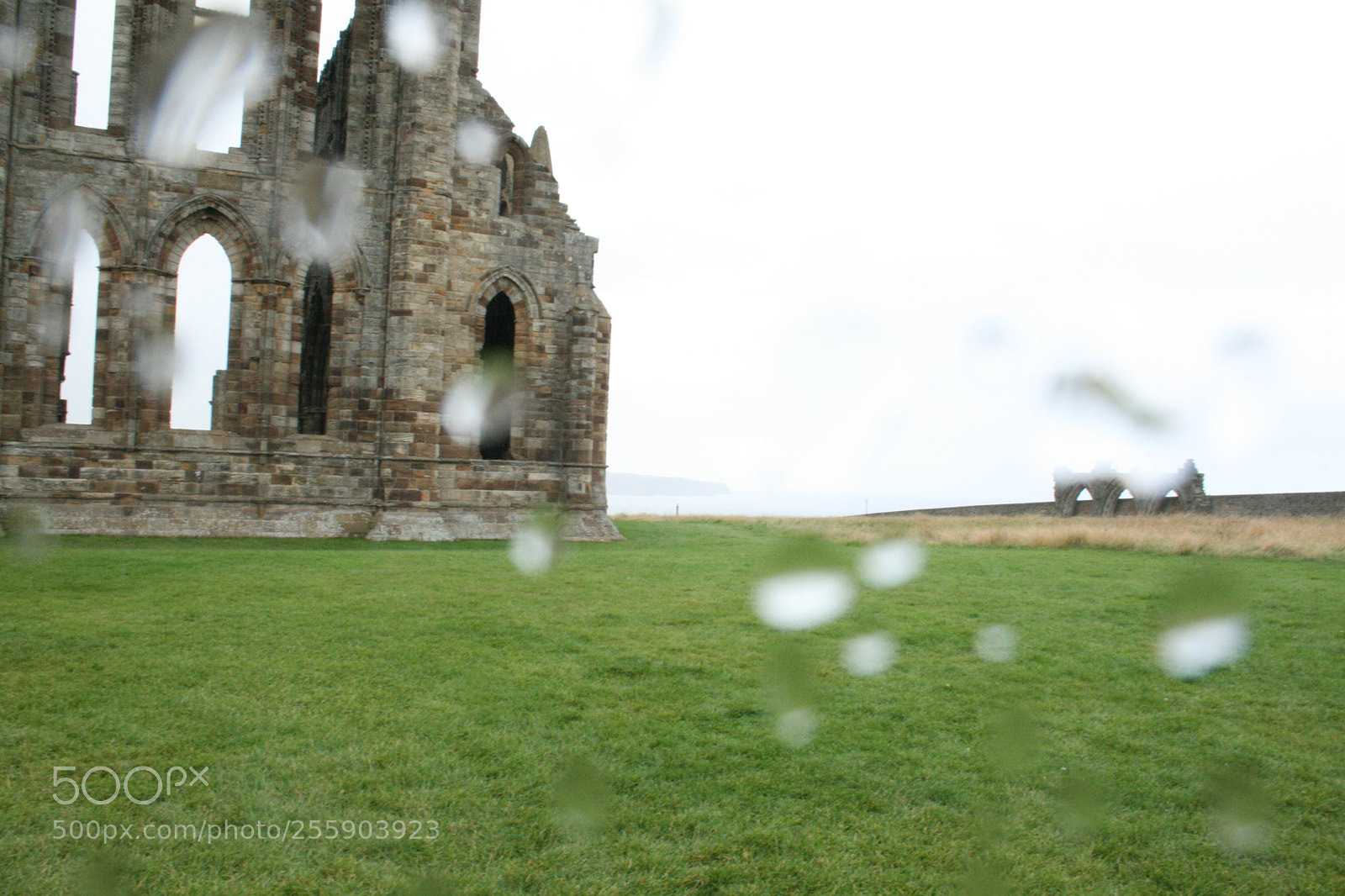 Canon EF-S 18-55mm F3.5-5.6 II sample photo. Whitby abbey photography