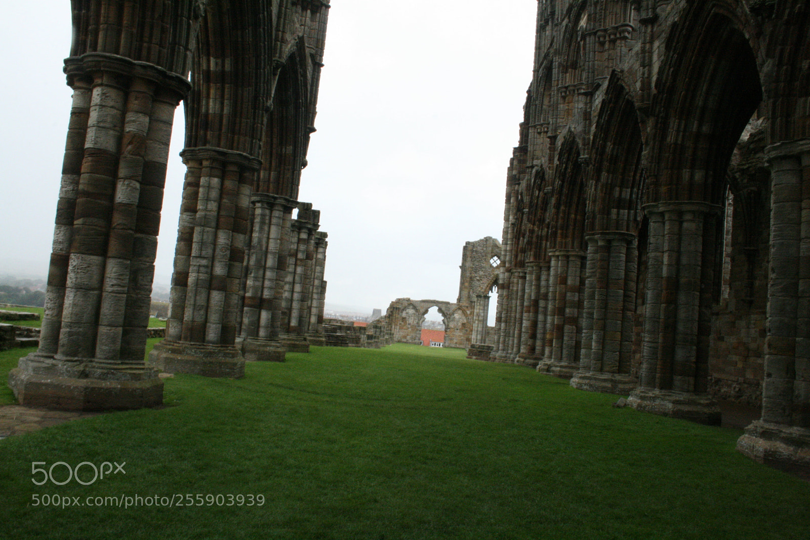 Canon EF-S 18-55mm F3.5-5.6 II sample photo. Whitby abbey photography
