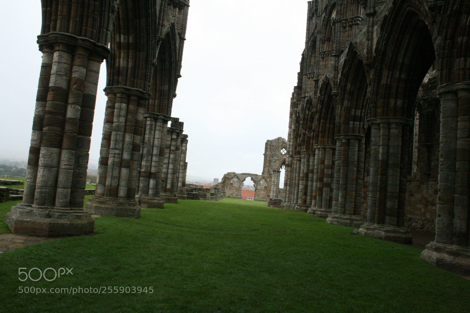 Canon EF-S 18-55mm F3.5-5.6 II sample photo. Whitby abbey photography