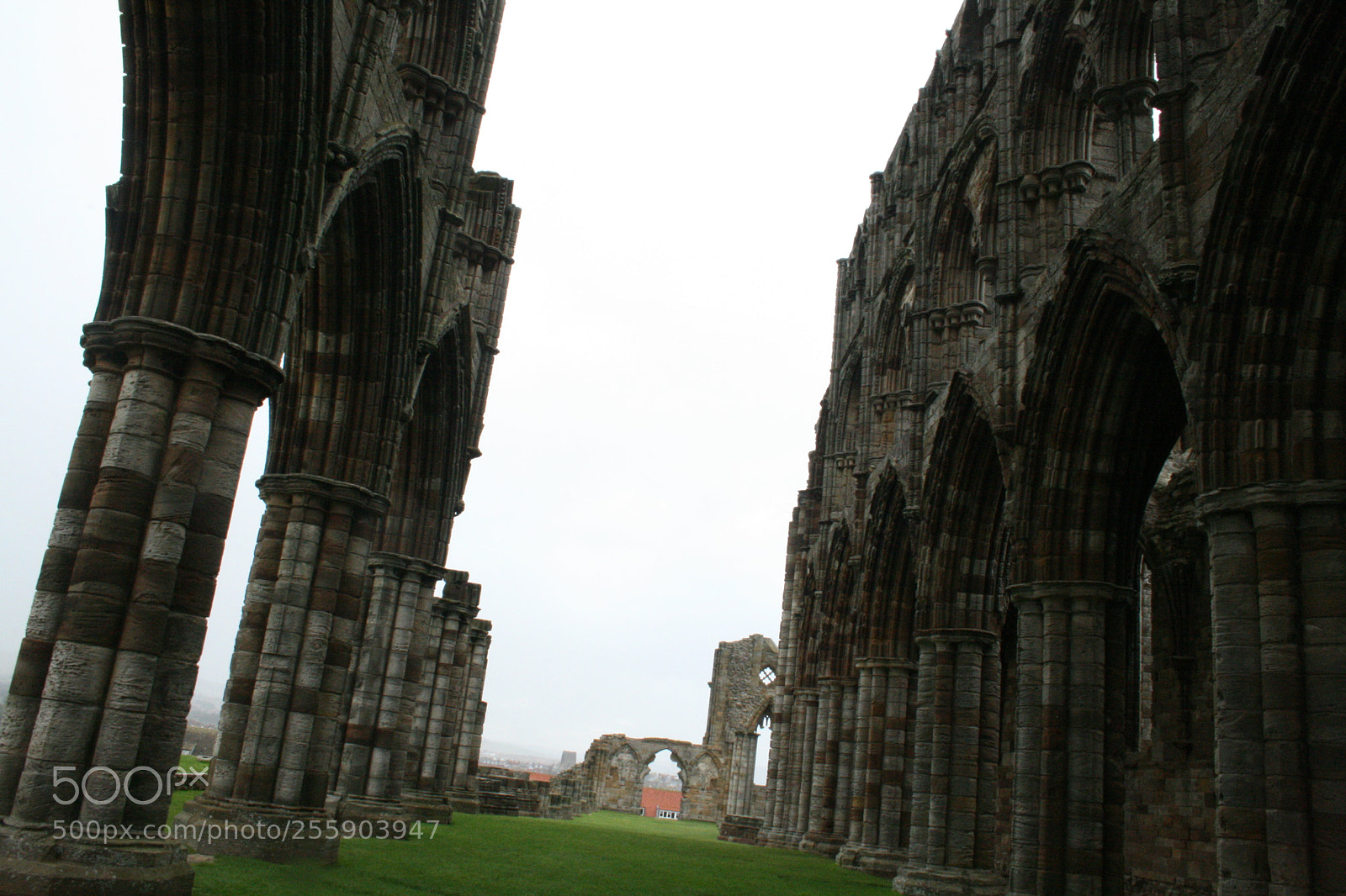 Canon EF-S 18-55mm F3.5-5.6 II sample photo. Whitby abbey photography