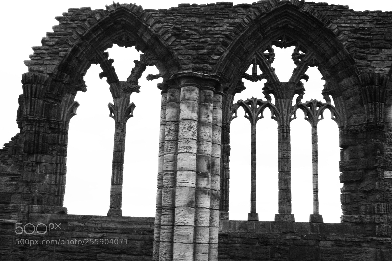 Canon EOS 400D (EOS Digital Rebel XTi / EOS Kiss Digital X) sample photo. Whitby abbey photography
