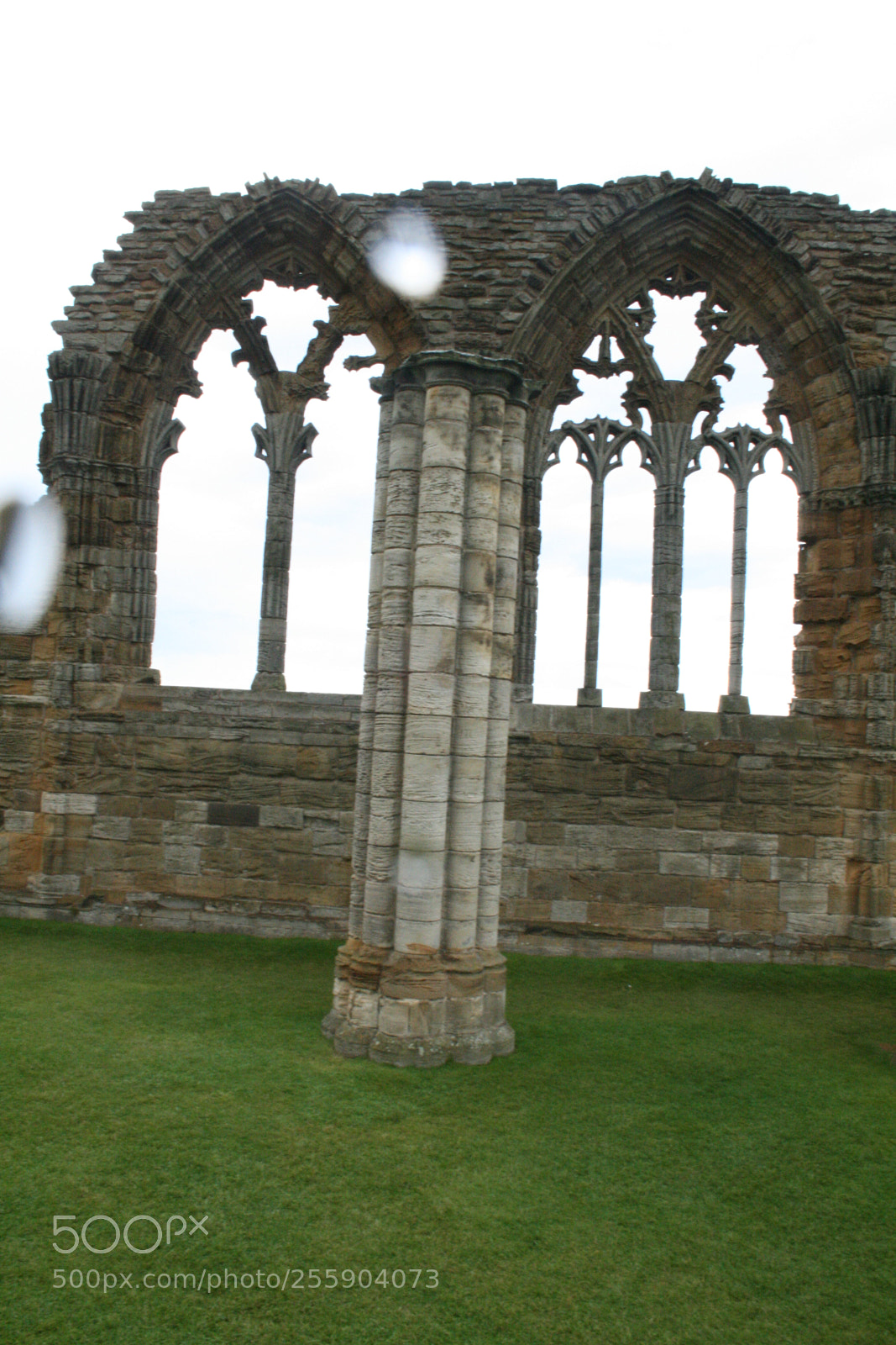 Canon EF-S 18-55mm F3.5-5.6 II sample photo. Whitby abbey photography
