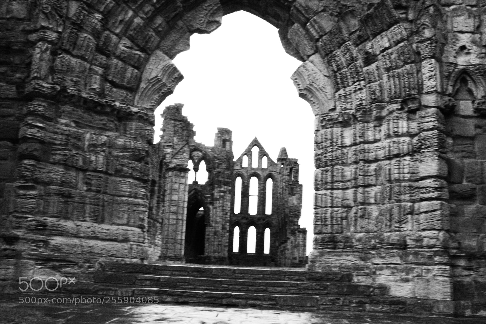 Canon EOS 400D (EOS Digital Rebel XTi / EOS Kiss Digital X) sample photo. Whitby abbey photography