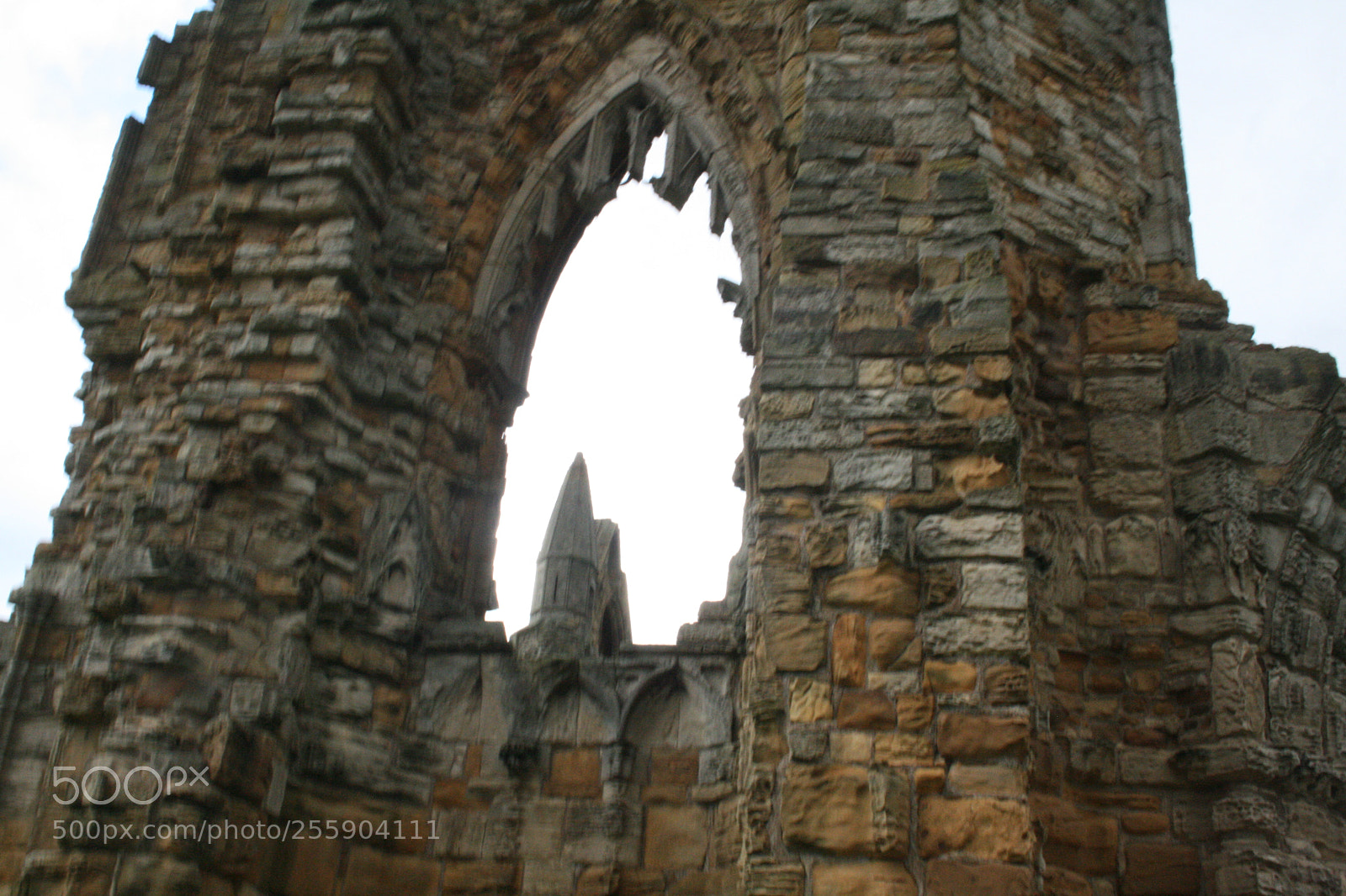 Canon EF-S 18-55mm F3.5-5.6 II sample photo. Whitby abbey photography