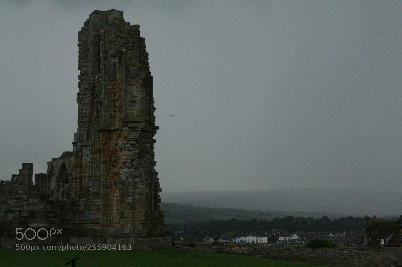 Canon EF-S 18-55mm F3.5-5.6 II sample photo. Whitby abbey photography