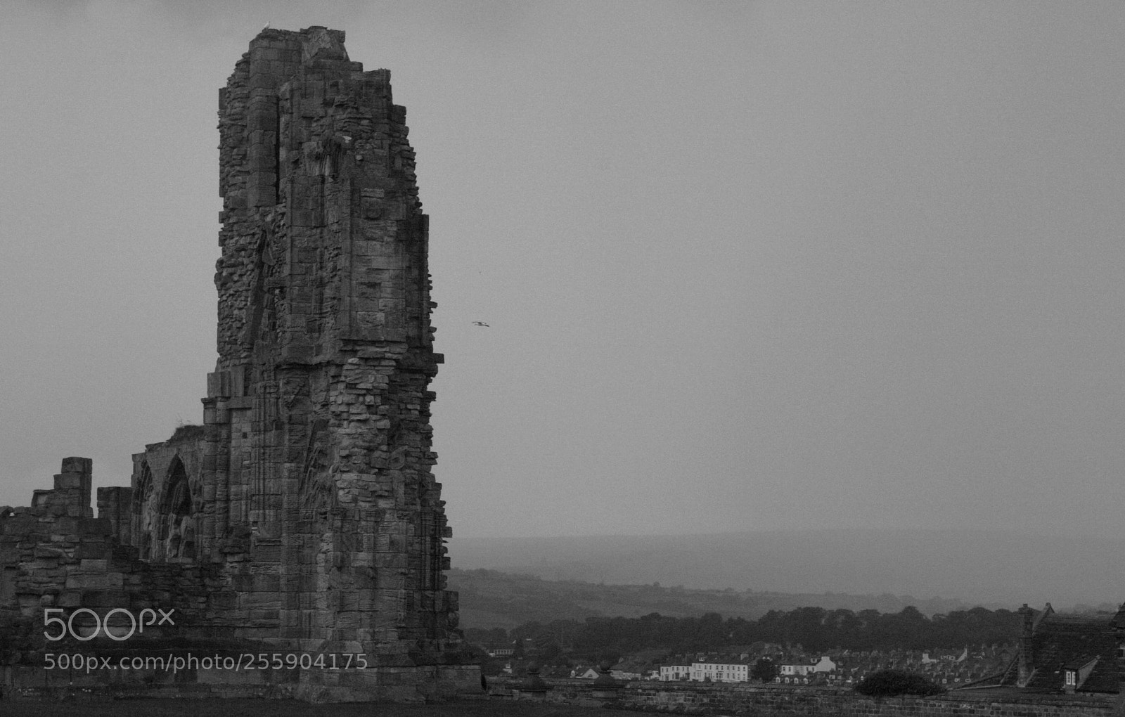 Canon EOS 400D (EOS Digital Rebel XTi / EOS Kiss Digital X) sample photo. Whitby abbey photography