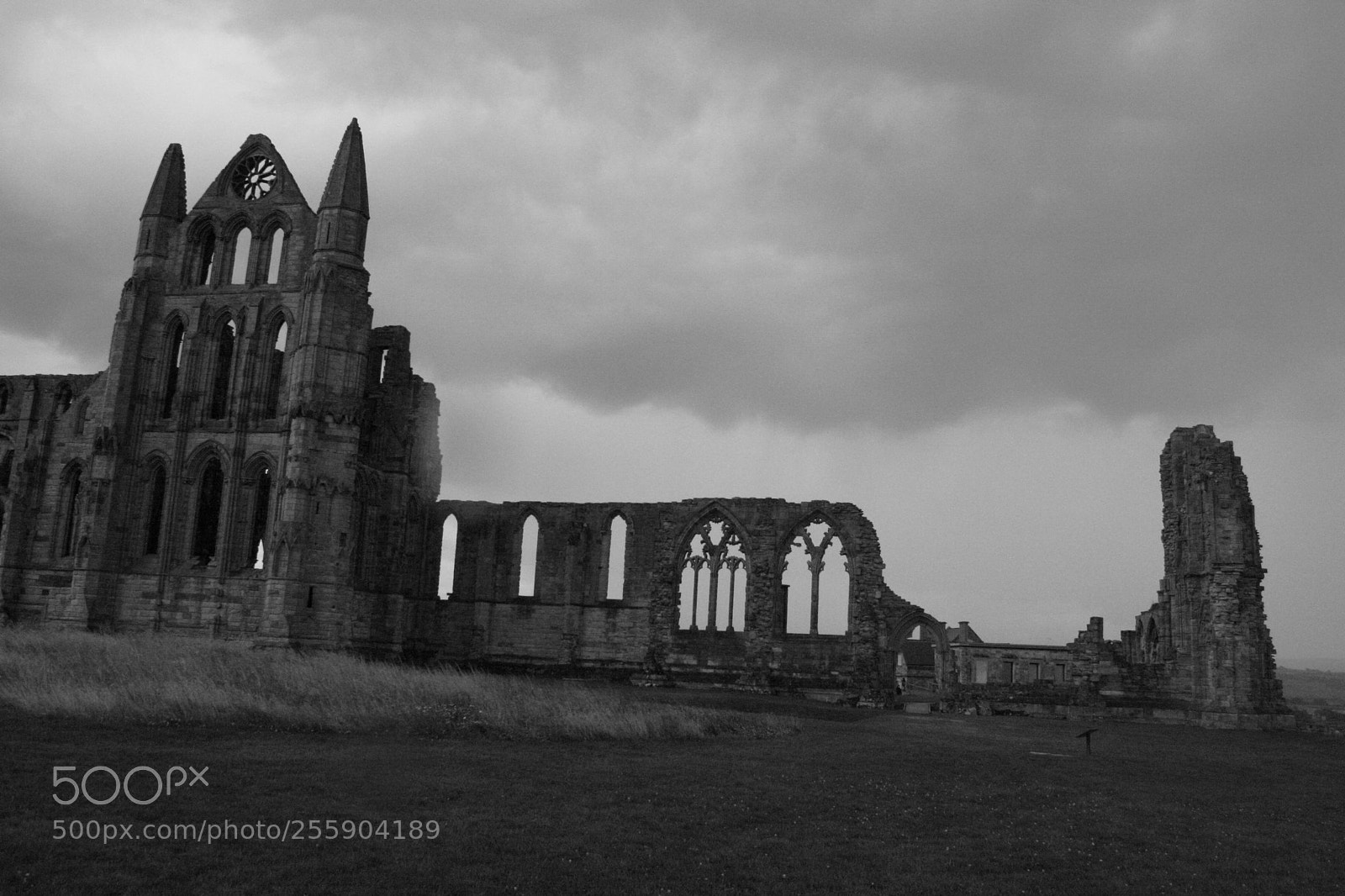 Canon EOS 400D (EOS Digital Rebel XTi / EOS Kiss Digital X) sample photo. Whitby abbey photography