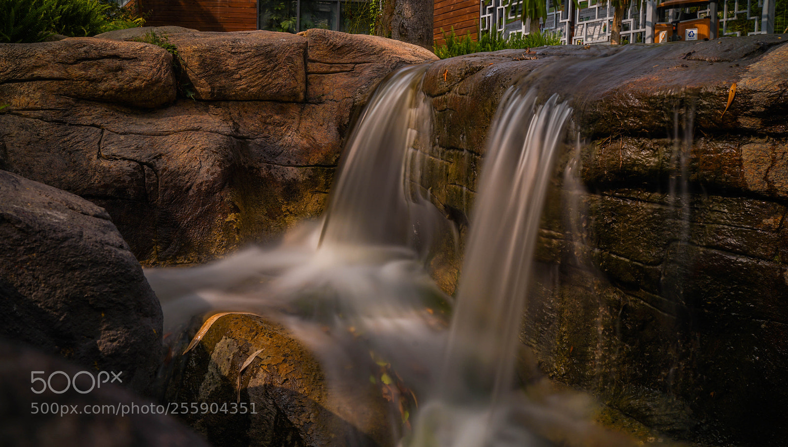 Sony a7 II sample photo. Dsc photography