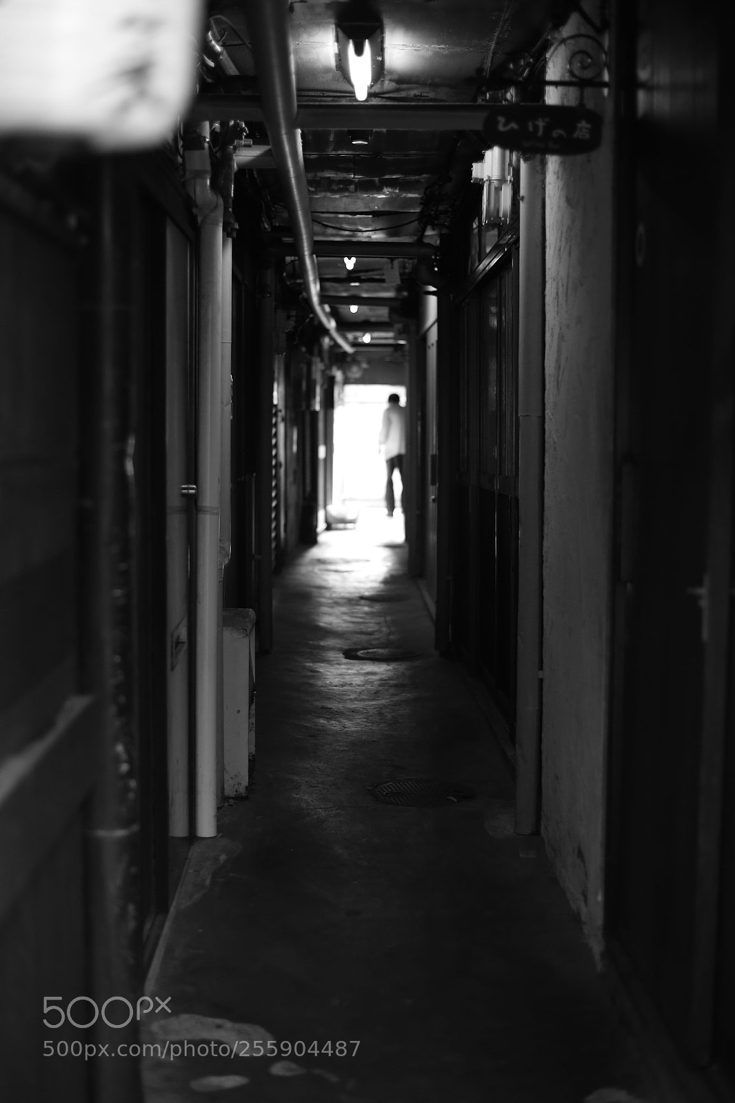 Canon EOS 6D sample photo. Through photography