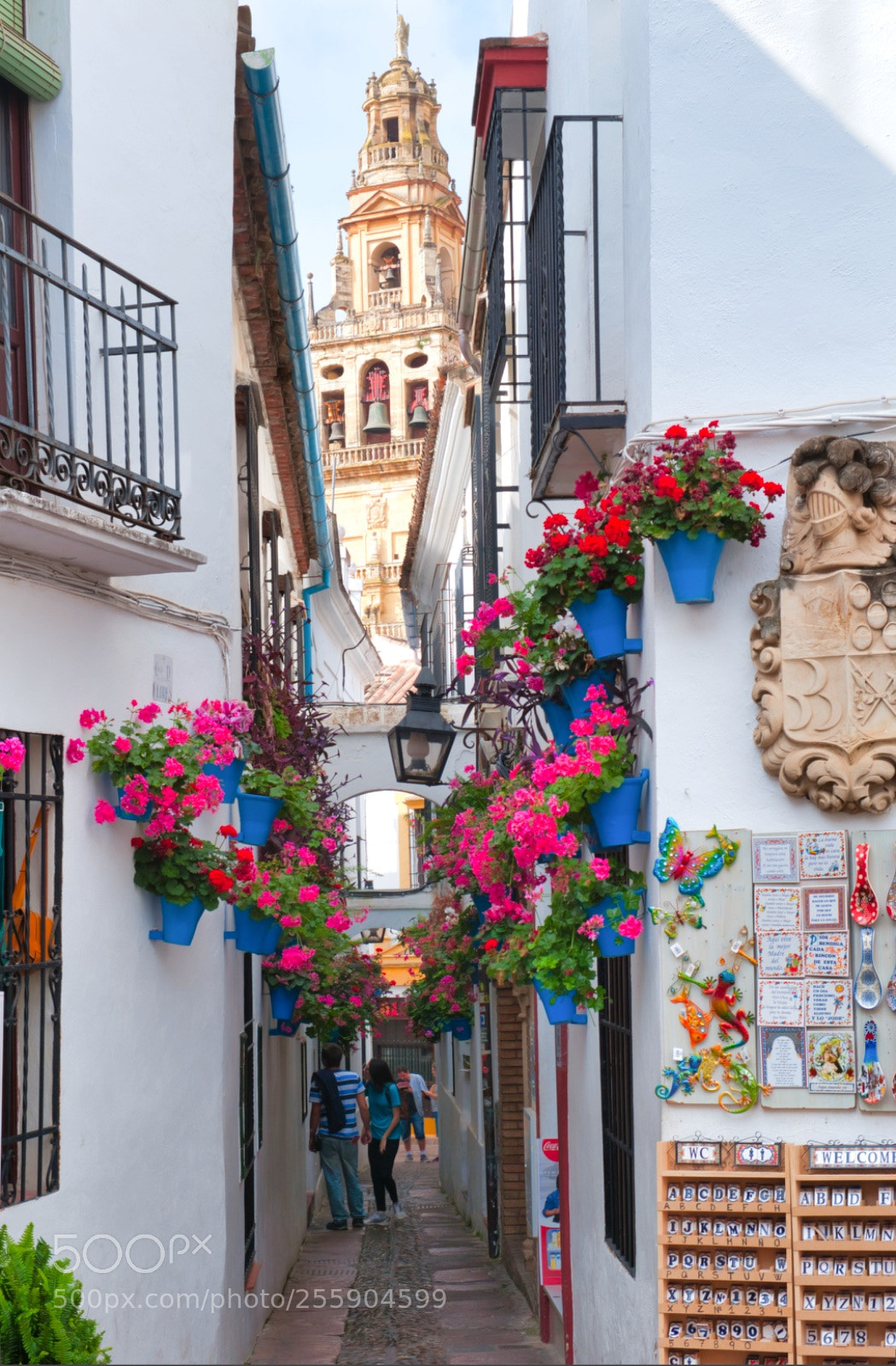 Nikon D3 sample photo. Córdoba - spain photography