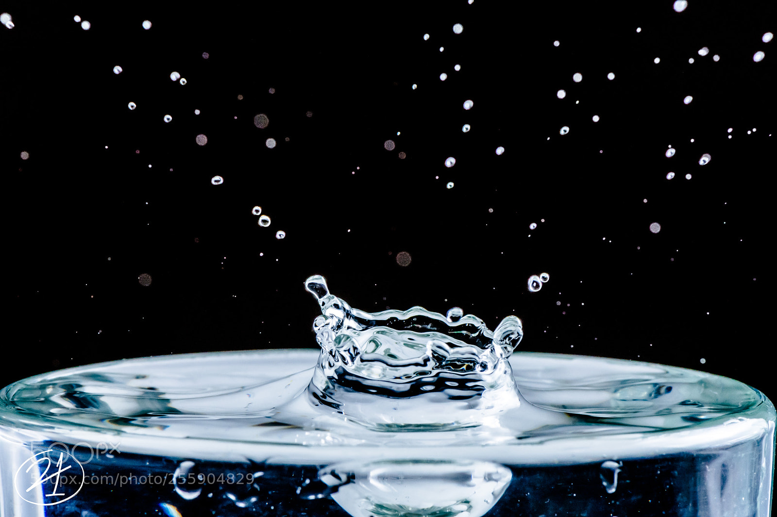 Nikon D7200 sample photo. Water drop photography