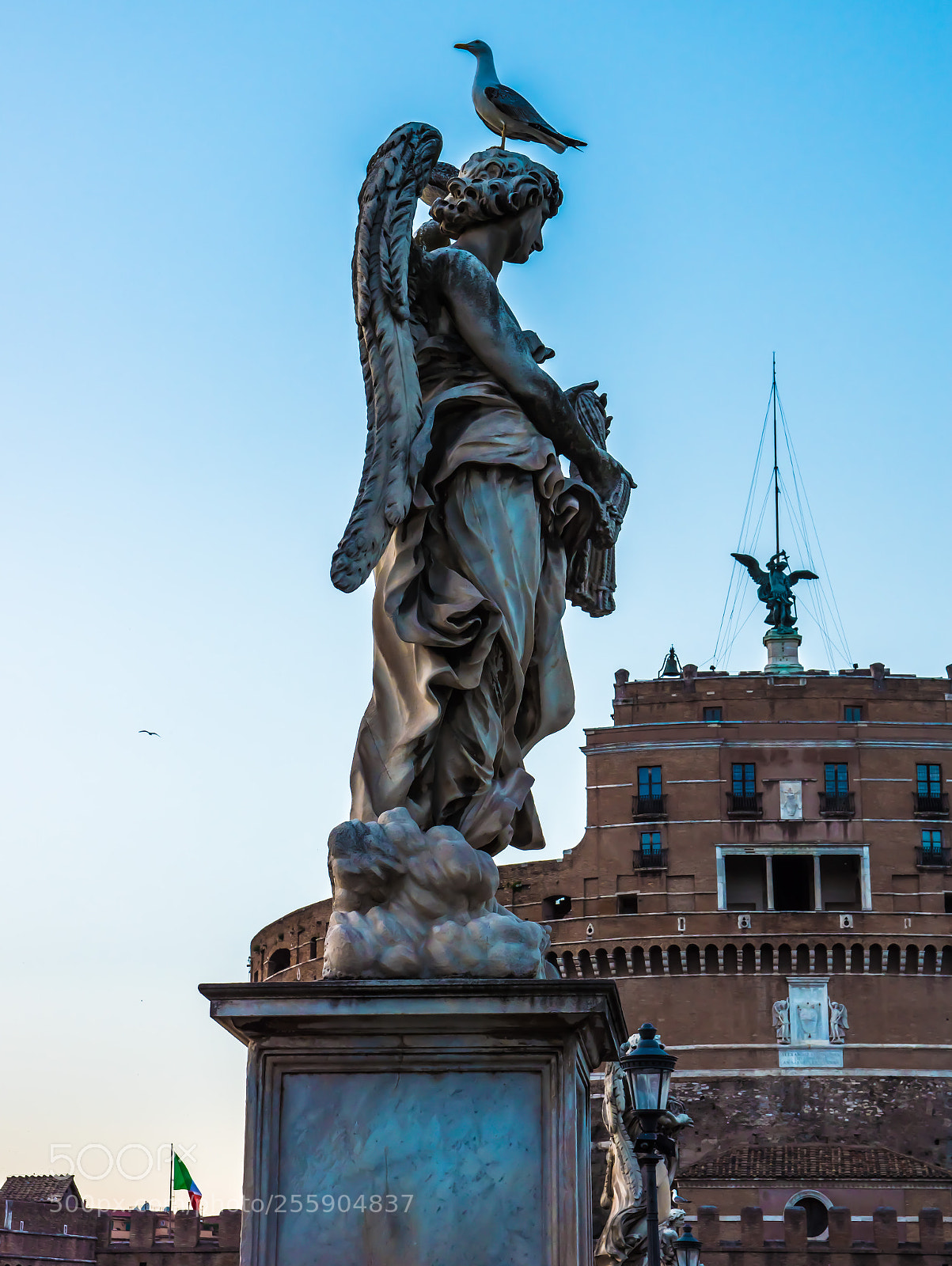 Nikon D5500 sample photo. Gabbiano a castel sant'angelo photography
