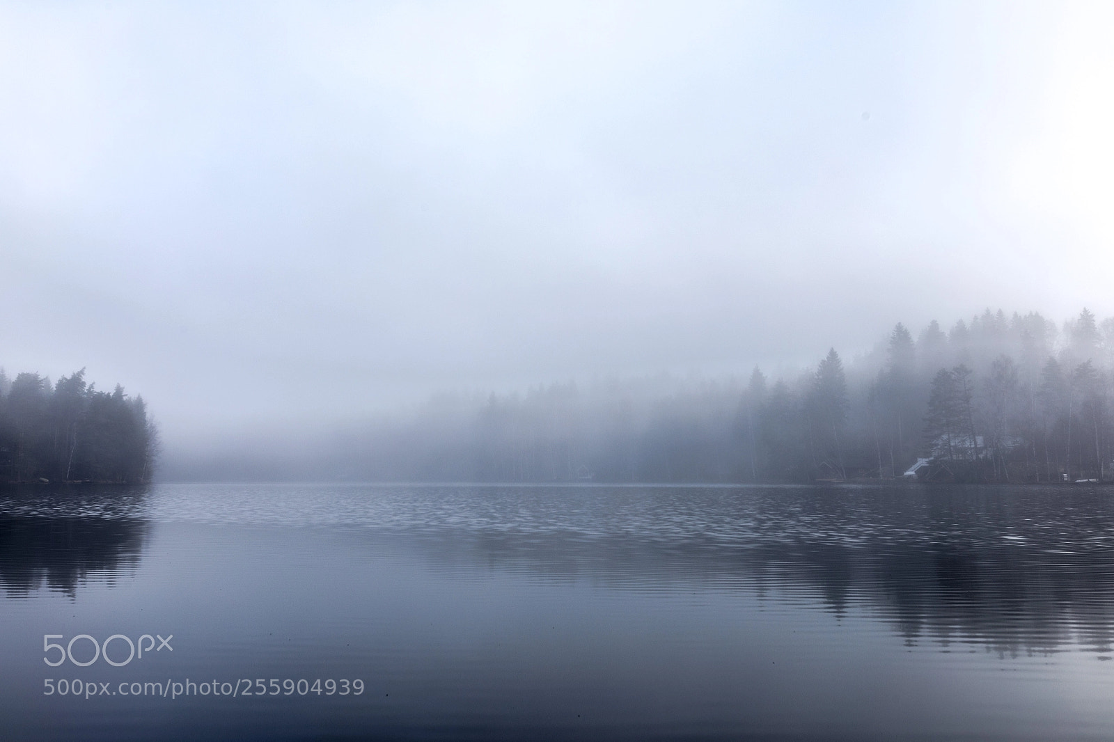 Canon EOS 5D Mark IV sample photo. Early mist iv photography
