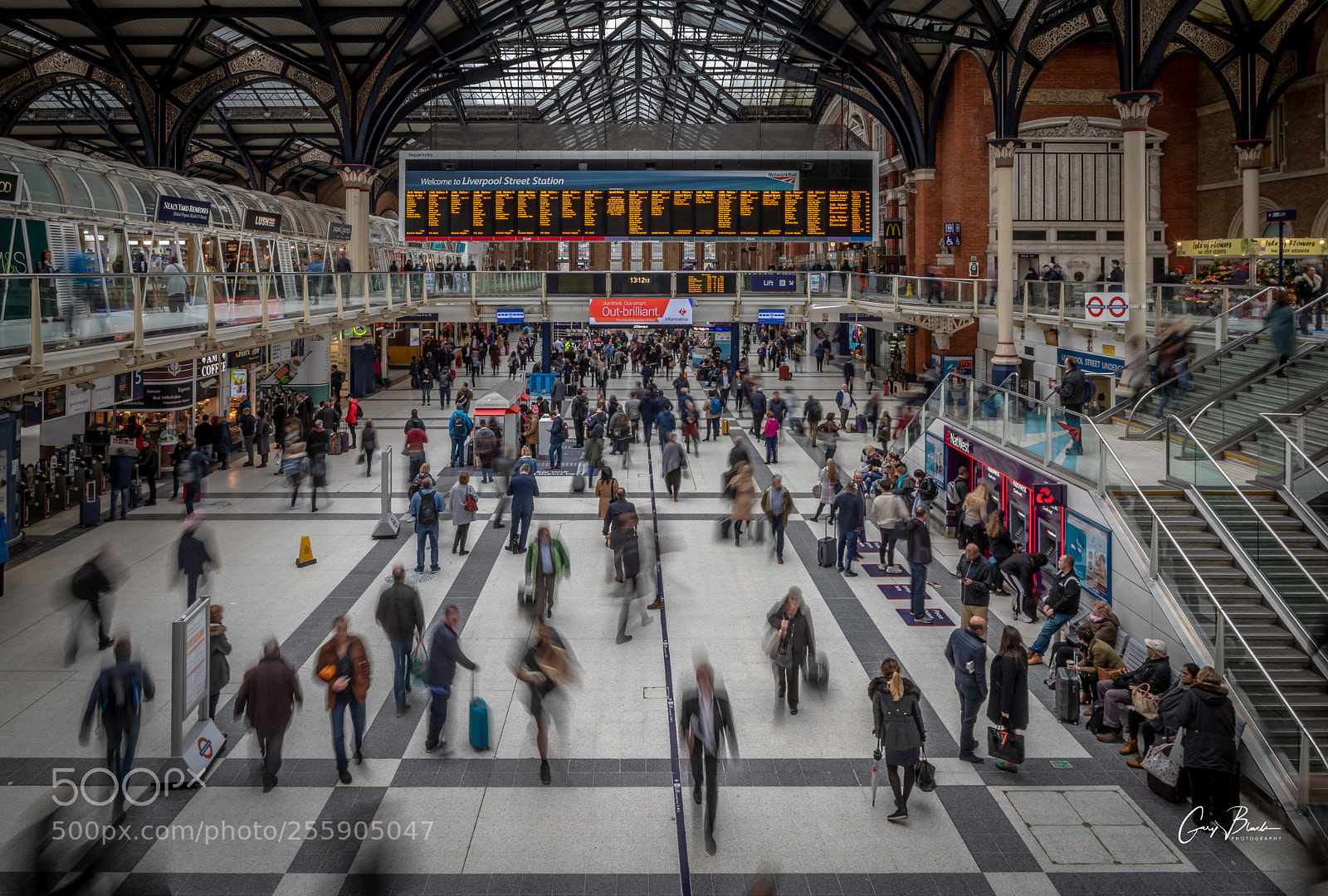 Canon EOS 6D Mark II sample photo. Week 17/52 - busy photography