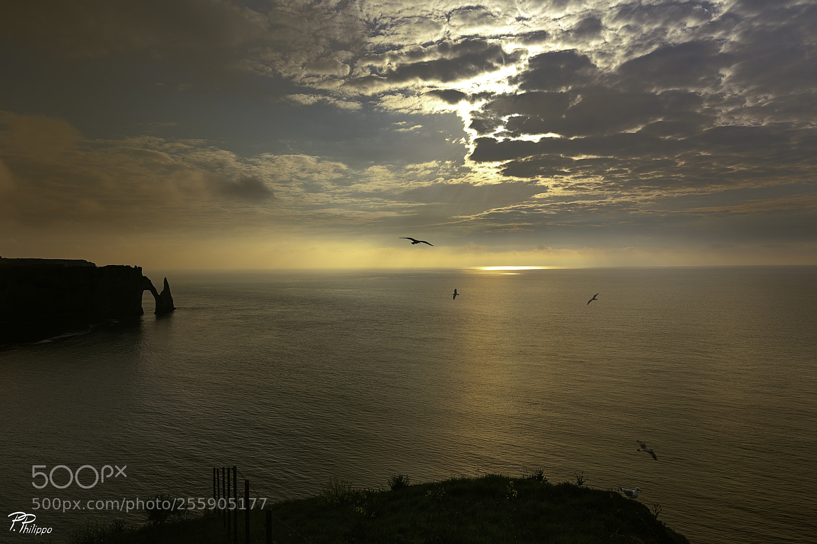 Canon EOS 5D Mark IV sample photo. Etretat cliffs photography