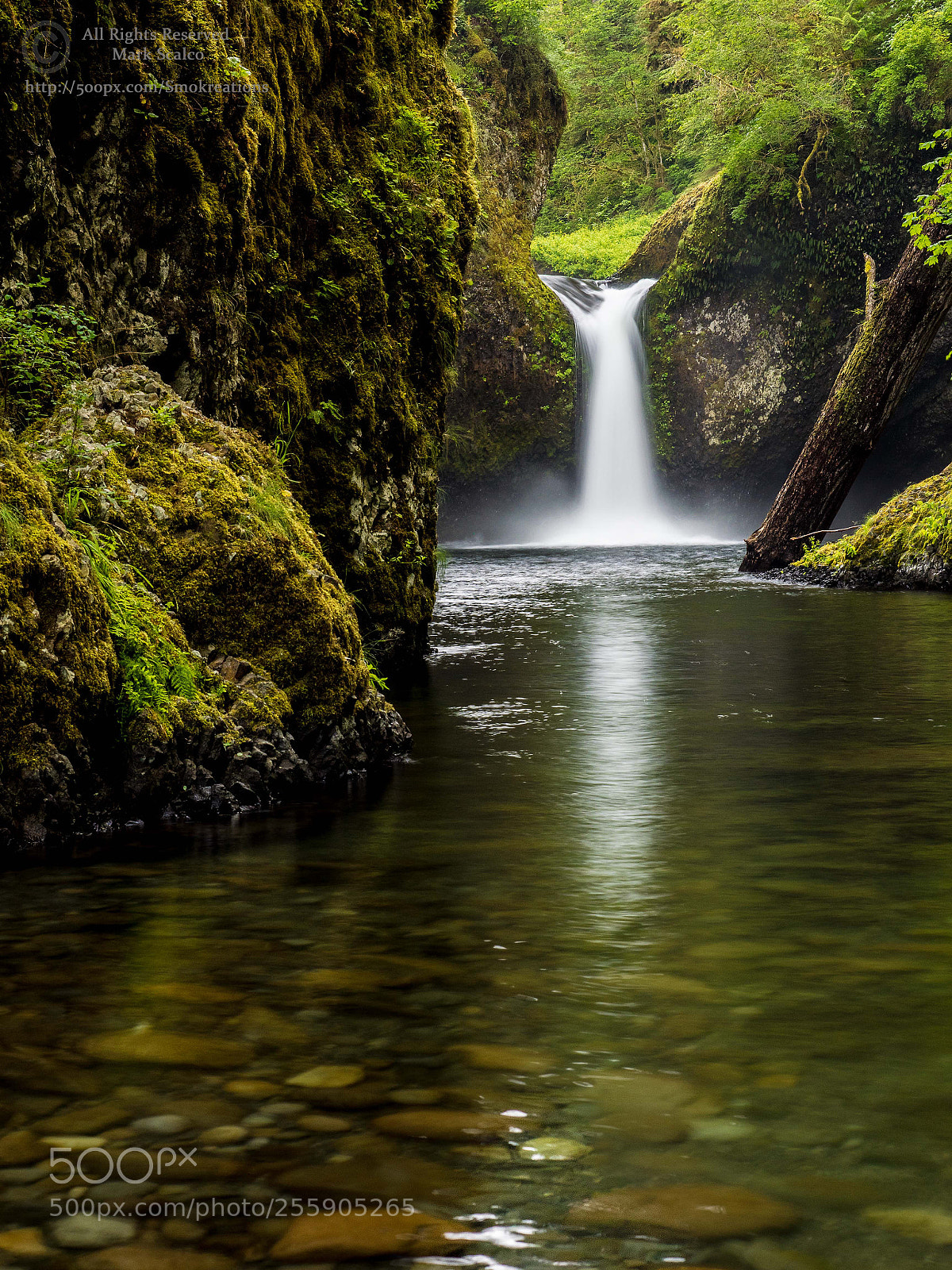 Olympus OM-D E-M1 sample photo. Punchbowl falls 4 photography