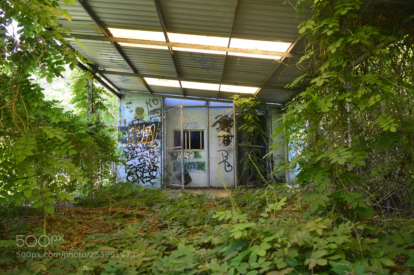 Nikon D3200 sample photo. Concession stand photography