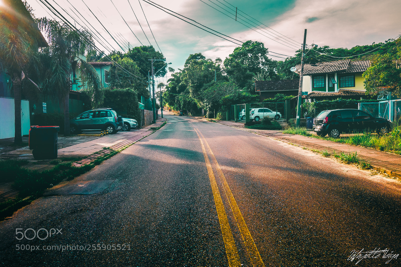 Sony Cyber-shot DSC-RX100 sample photo. Canto photography